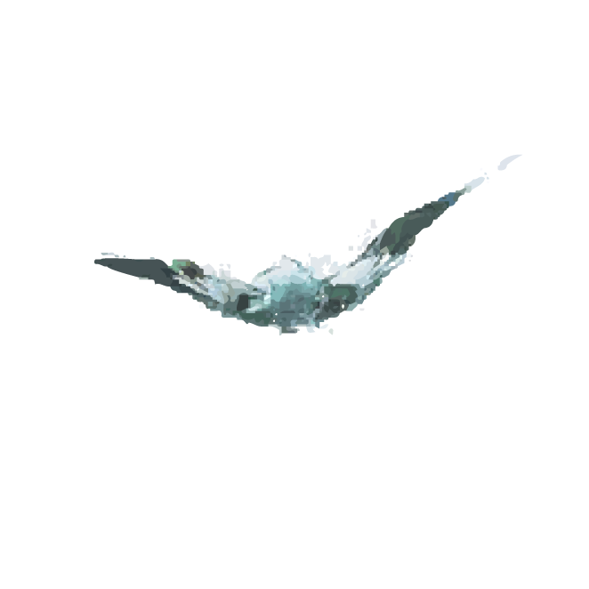 Angel Wings Windscreen Chip - Premier Windscreens